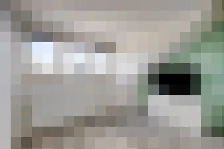 John Raedeckerhof 61 Hoorn thumbnail 26