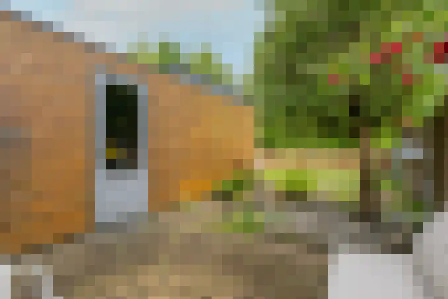 John Raedeckerhof 7 Hoorn thumbnail 10
