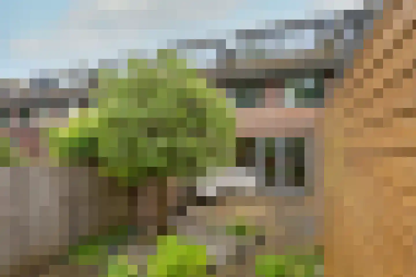 John Raedeckerhof 7 Hoorn thumbnail 15