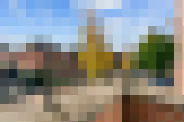John Raedeckerhof 77 Hoorn thumbnail 19