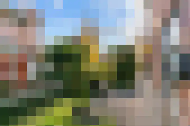 John Raedeckerhof 77 Hoorn thumbnail 26