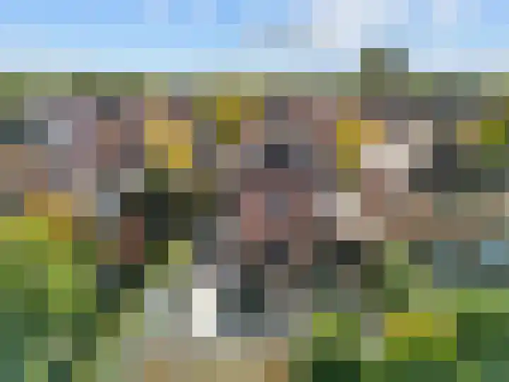 John Raedeckerhof 77 Hoorn thumbnail 39