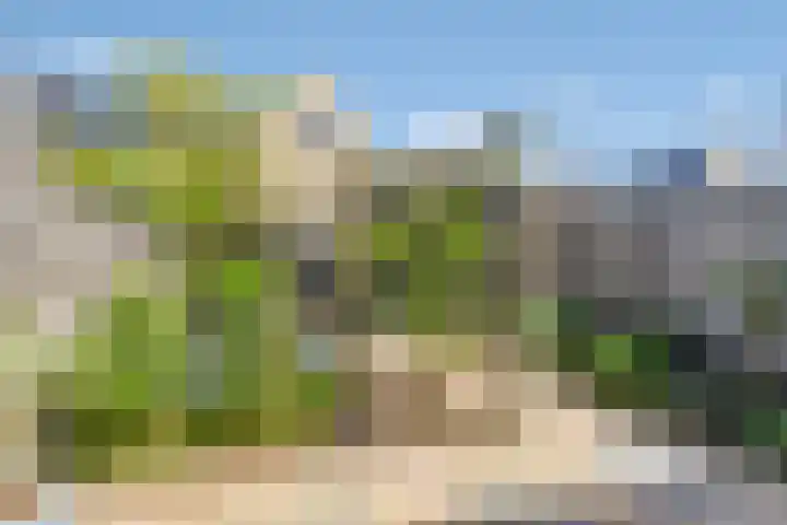 John Raedeckersingel 28 Reeuwijk thumbnail 13