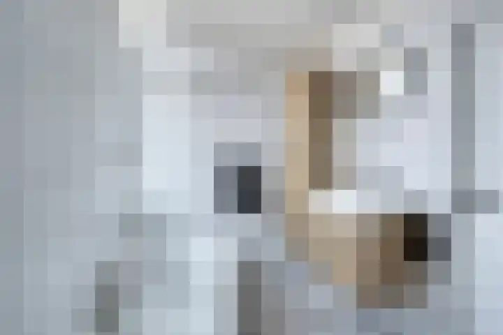 John Raedeckersingel 28 Reeuwijk thumbnail 20