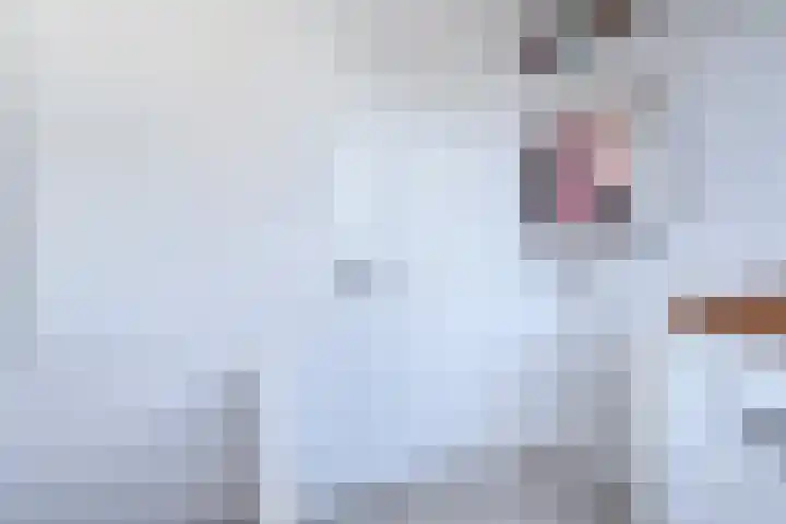John Raedeckersingel 28 Reeuwijk thumbnail 25