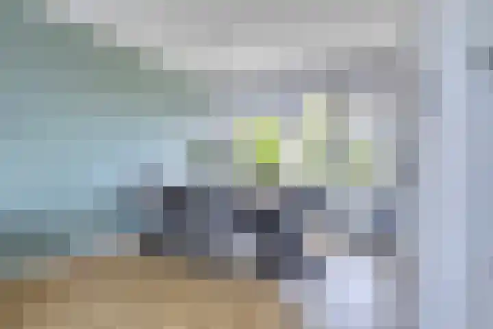 John Raedeckersingel 28 Reeuwijk thumbnail 7