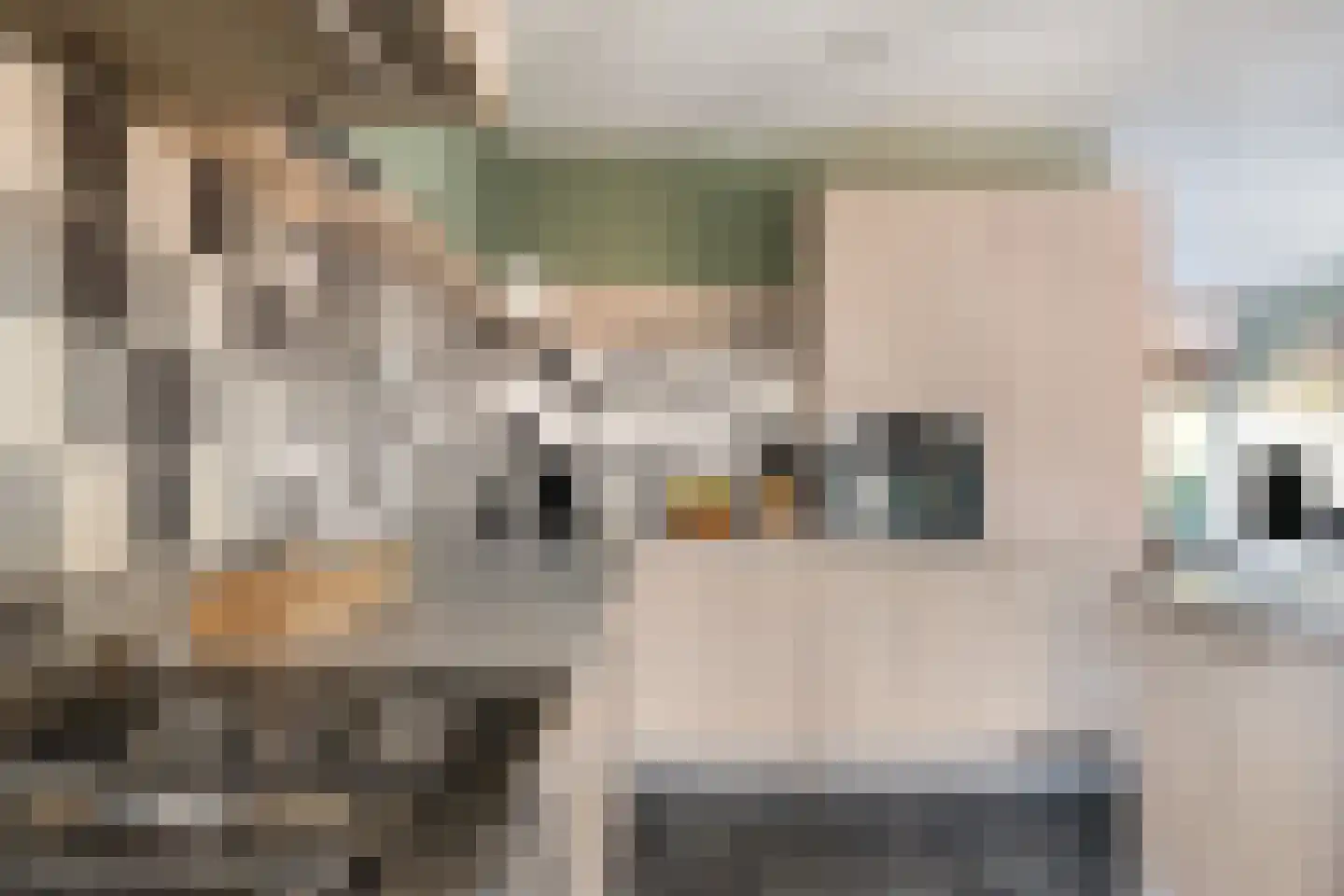 John Raedeckersingel 52 Reeuwijk thumbnail 21