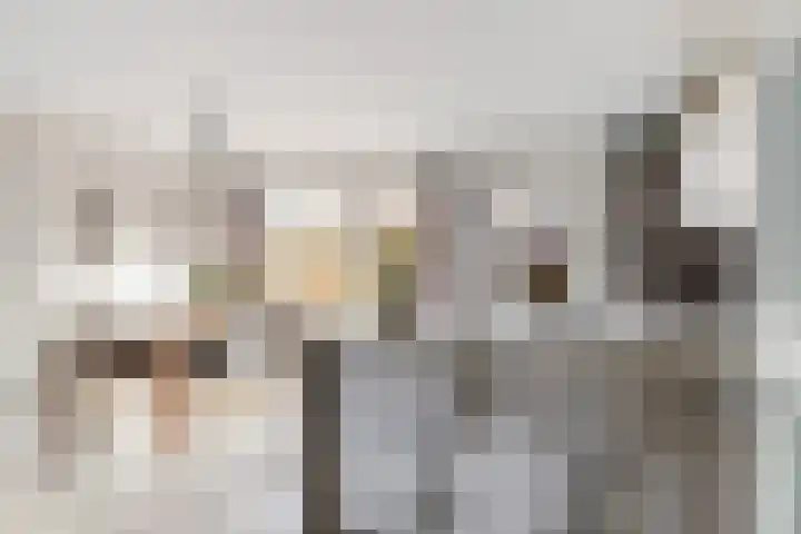 John Raedeckersingel 8 Reeuwijk thumbnail 10