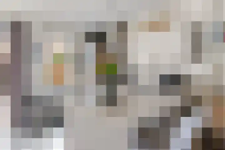 John Raedeckersingel 8 Reeuwijk thumbnail 14