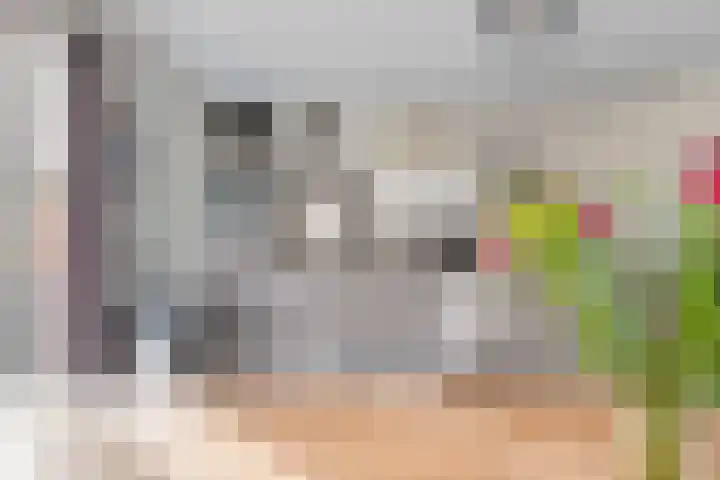 John Raedeckersingel 8 Reeuwijk thumbnail 15