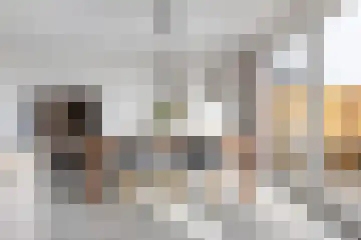 John Raedeckersingel 8 Reeuwijk thumbnail 18