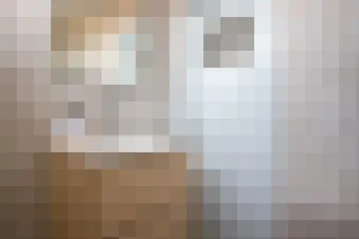 John Raedeckersingel 8 Reeuwijk thumbnail 33