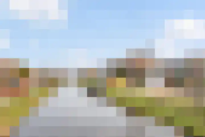 John Raedeckersingel 8 Reeuwijk thumbnail 45