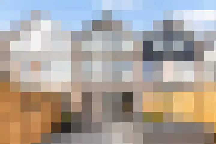 John Raedeckersingel 8 Reeuwijk thumbnail 54