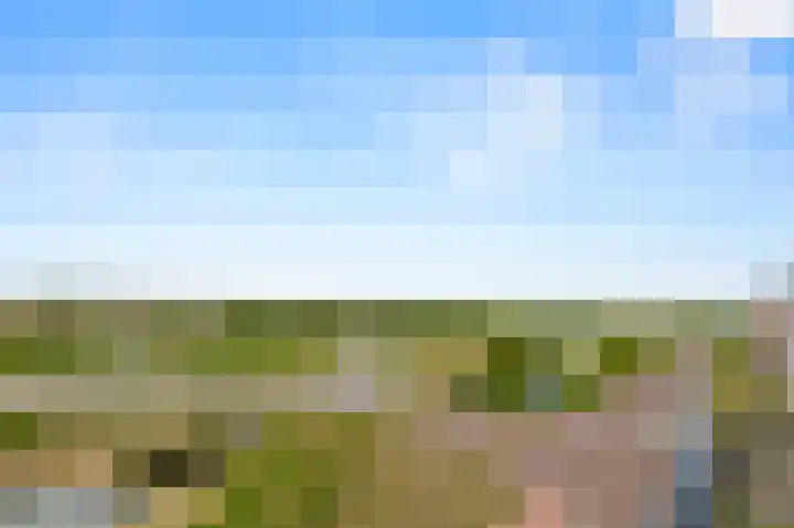 John Rossweg 57 Almere thumbnail 18