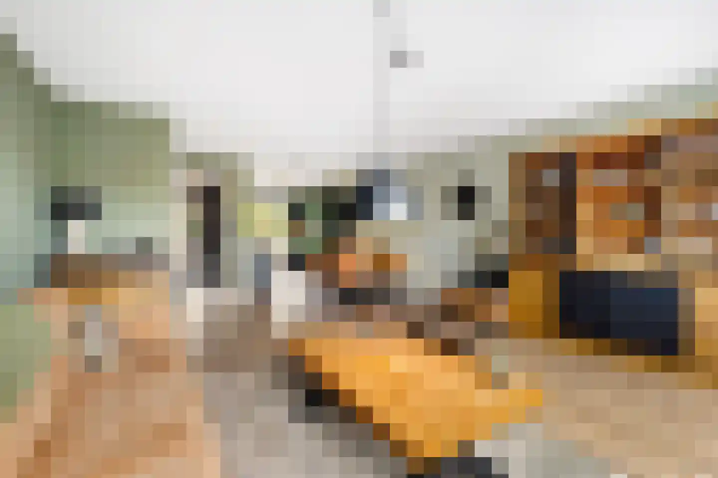 John Sousarode 23 Zoetermeer thumbnail 15