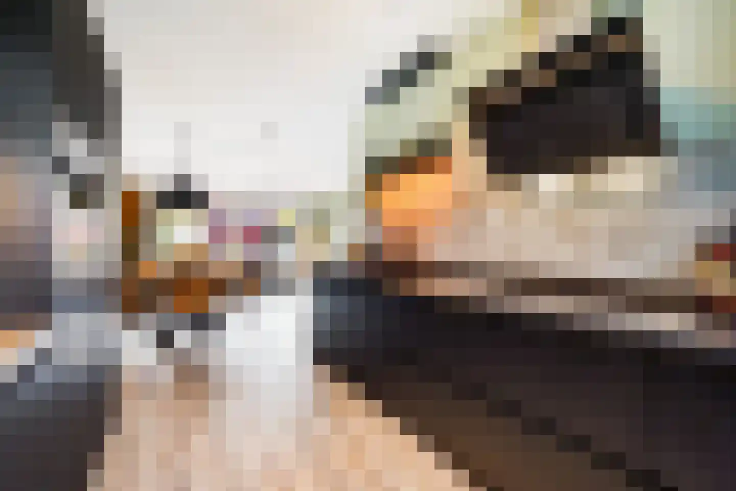 John Sousarode 23 Zoetermeer thumbnail 22
