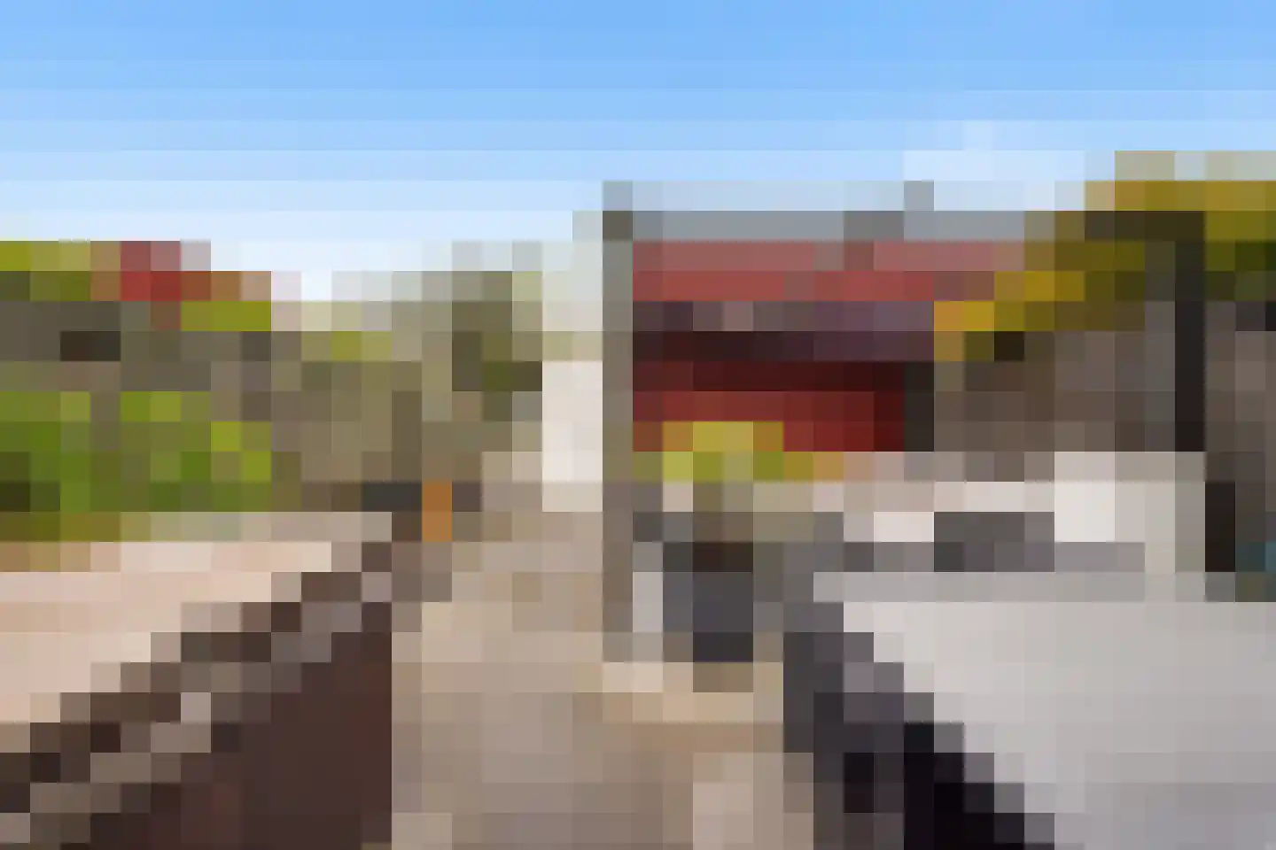 John Sousarode 23 Zoetermeer thumbnail 25
