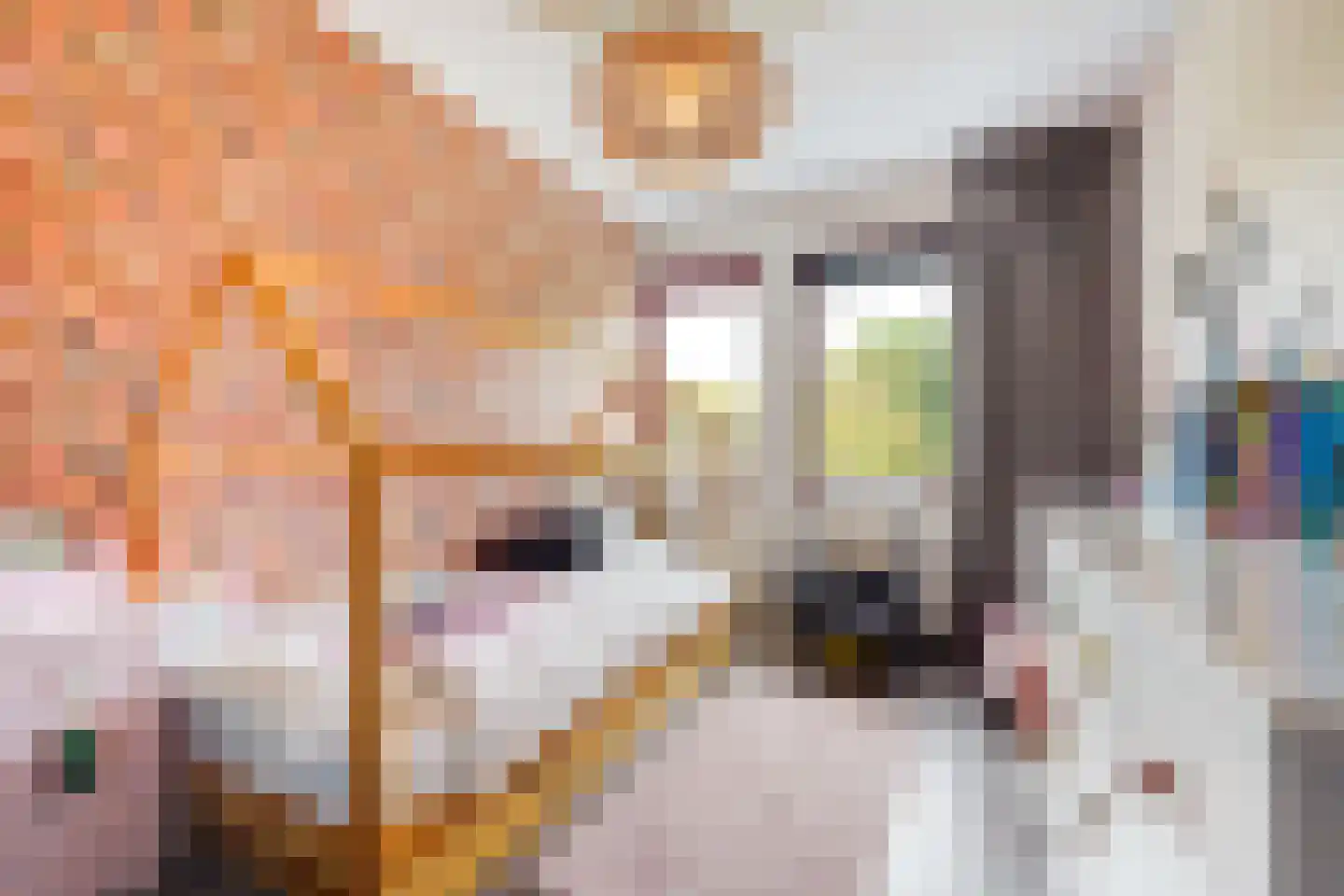 John Sousarode 23 Zoetermeer thumbnail 28
