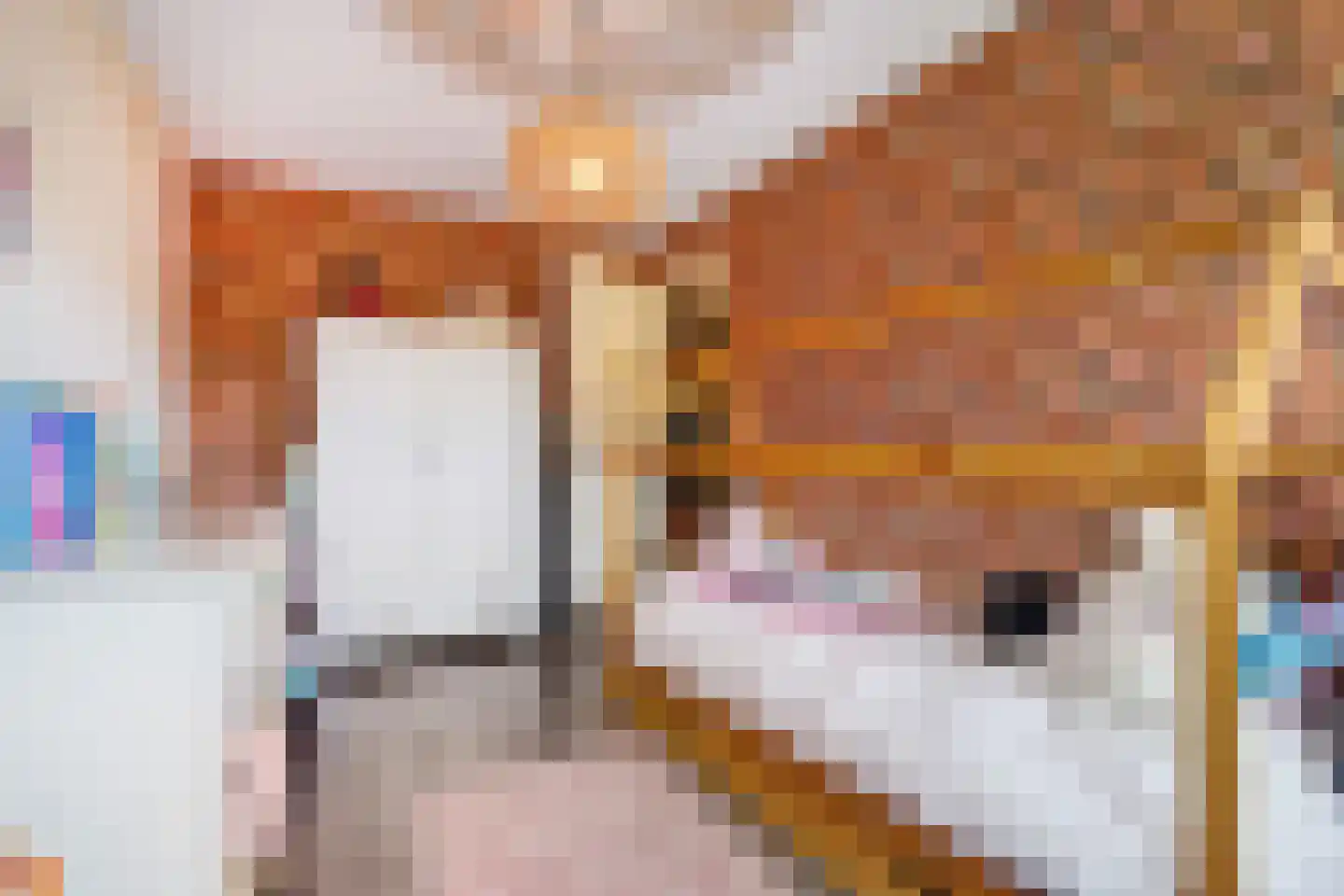 John Sousarode 23 Zoetermeer thumbnail 29