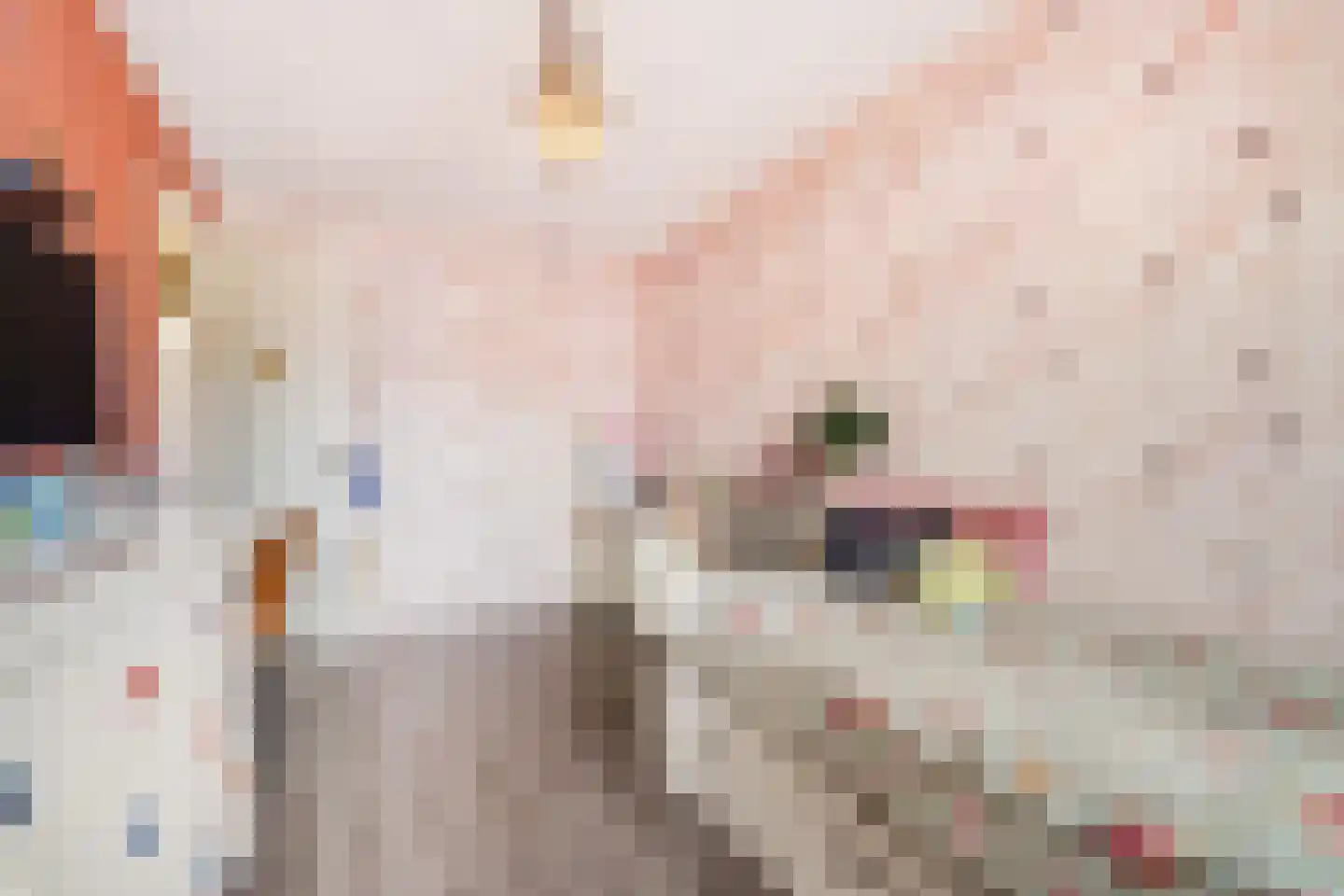 John Sousarode 23 Zoetermeer thumbnail 31