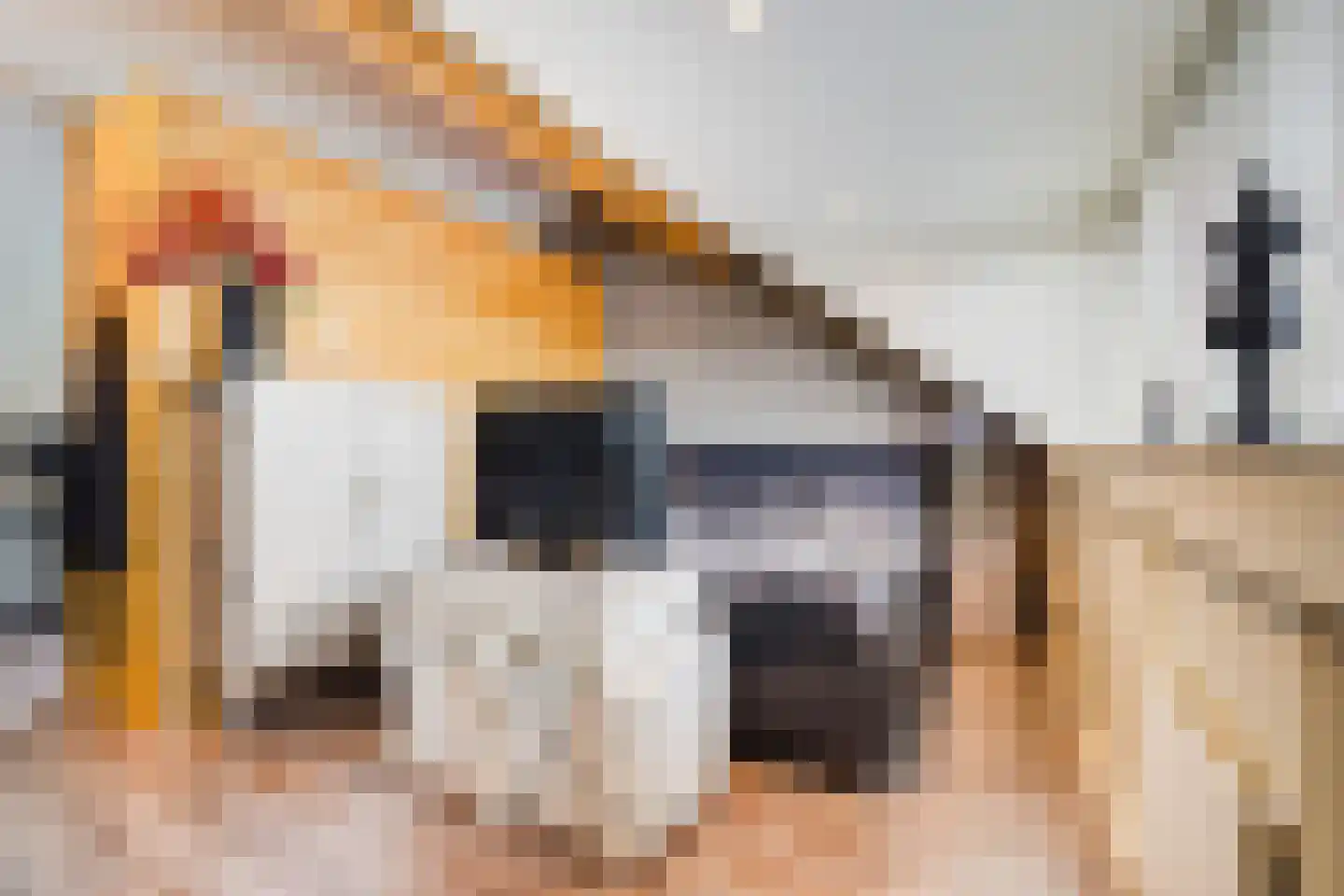 John Sousarode 23 Zoetermeer thumbnail 35
