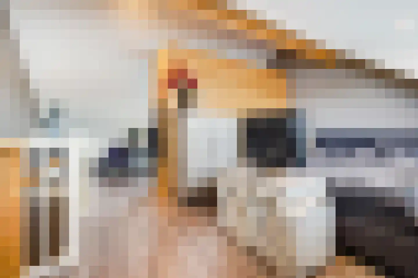 John Sousarode 23 Zoetermeer thumbnail 36