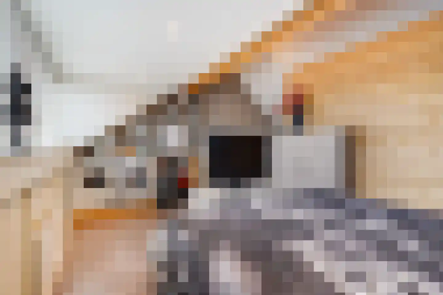 John Sousarode 23 Zoetermeer thumbnail 37
