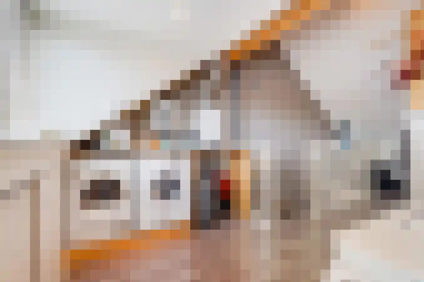 John Sousarode 23 Zoetermeer thumbnail 38