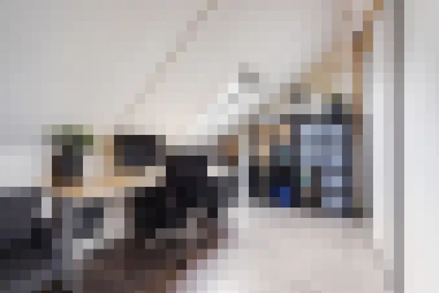 John Sousarode 23 Zoetermeer thumbnail 39