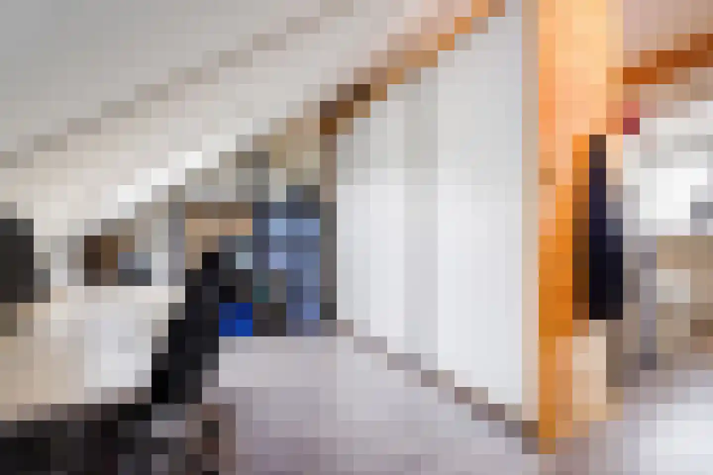 John Sousarode 23 Zoetermeer thumbnail 40