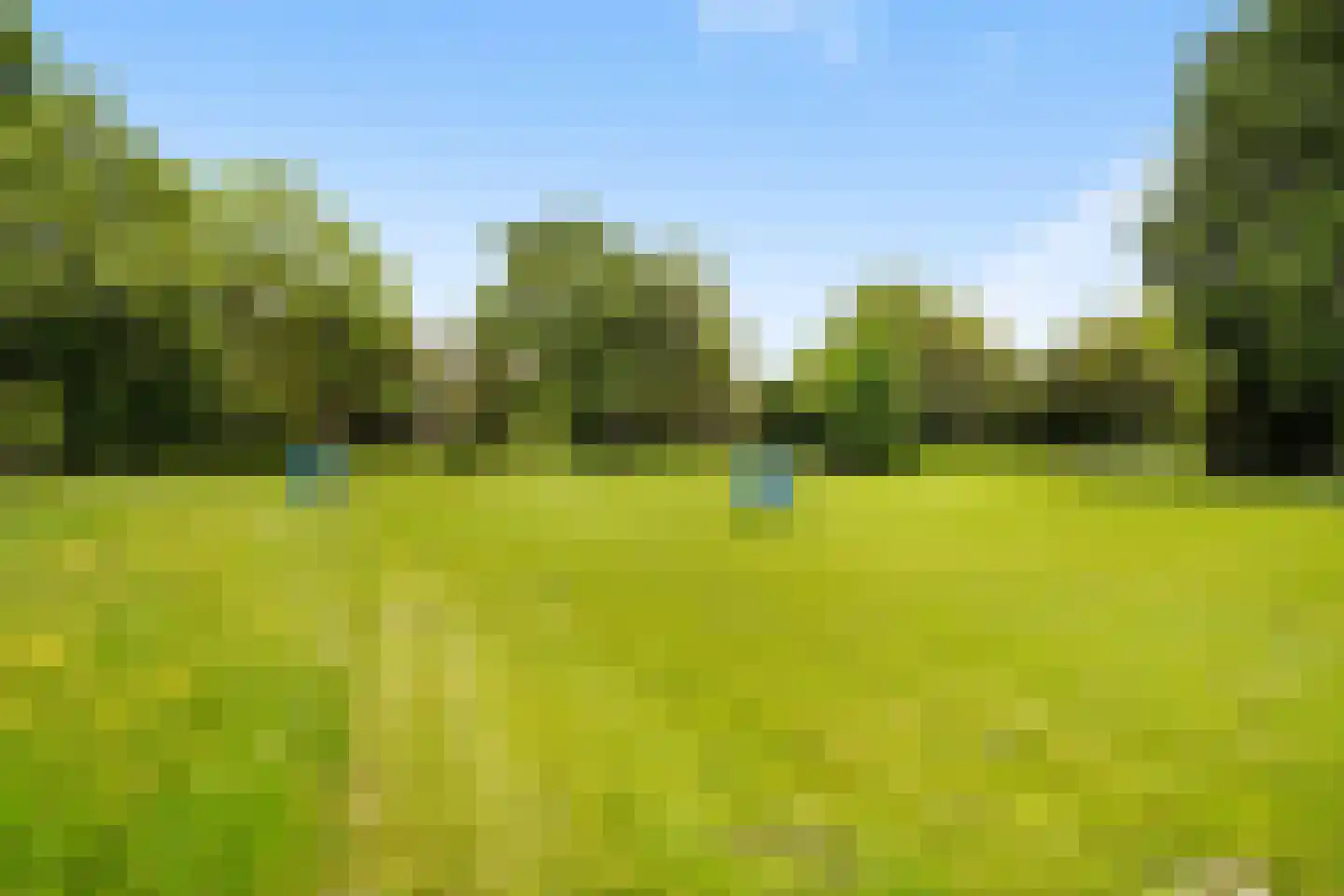 John Sousarode 23 Zoetermeer thumbnail 41
