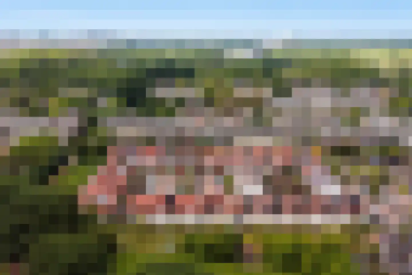 John Sousarode 23 Zoetermeer thumbnail 8
