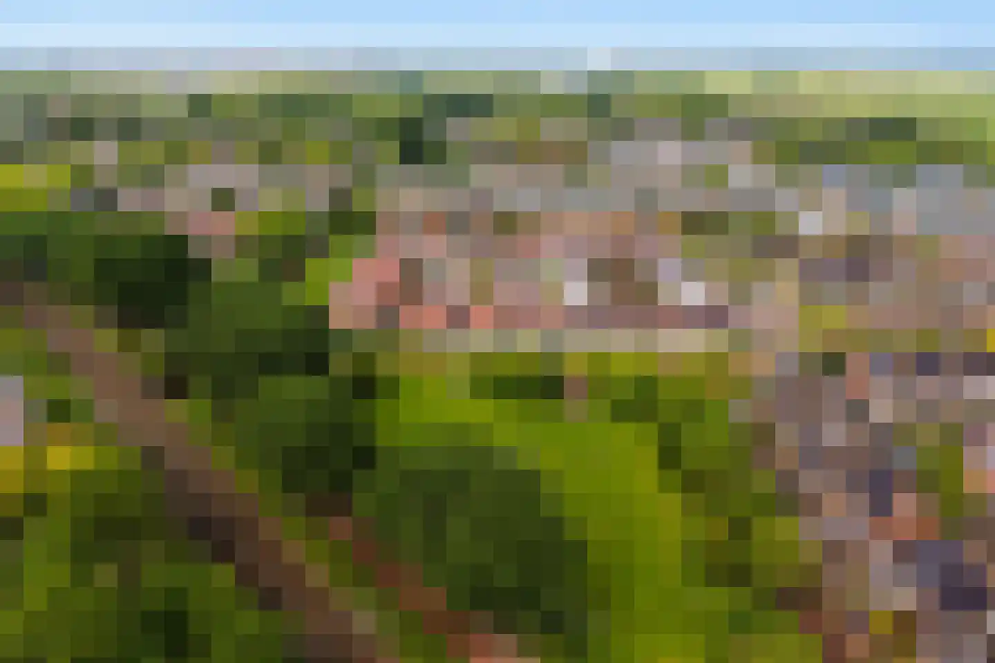 John Sousarode 23 Zoetermeer thumbnail 9