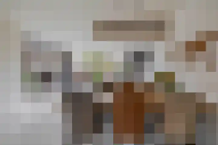 John Sousarode 29 Zoetermeer thumbnail 10
