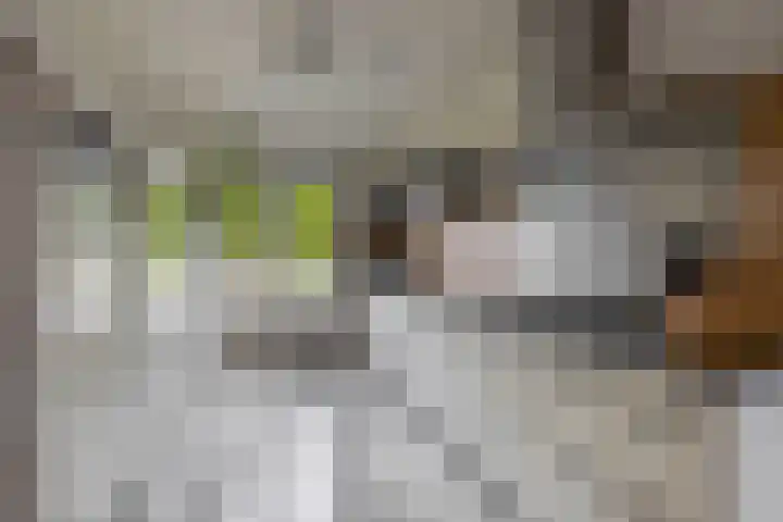 John Sousarode 29 Zoetermeer thumbnail 11