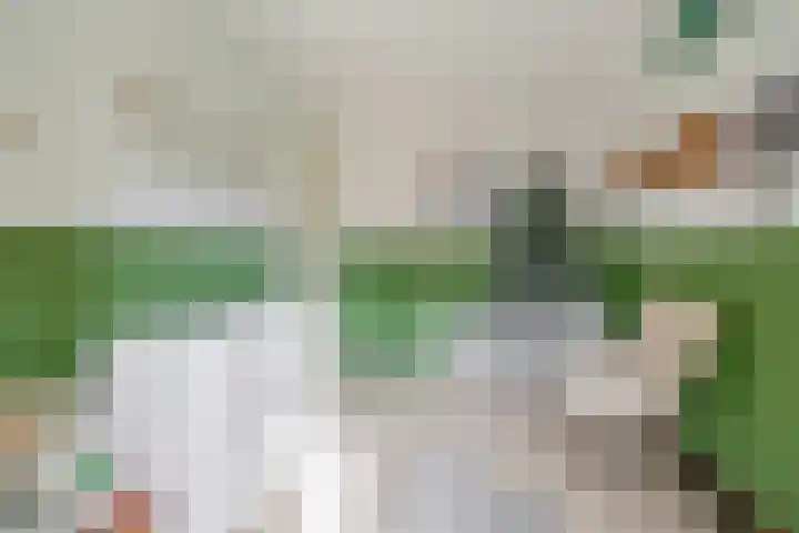 John Sousarode 29 Zoetermeer thumbnail 19