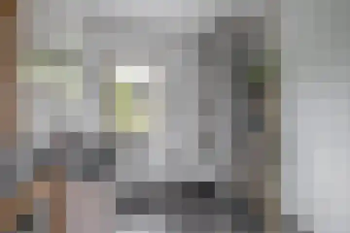 John Sousarode 29 Zoetermeer thumbnail 20