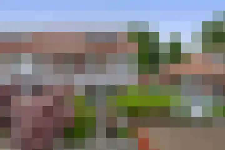 John Sousarode 29 Zoetermeer thumbnail 25