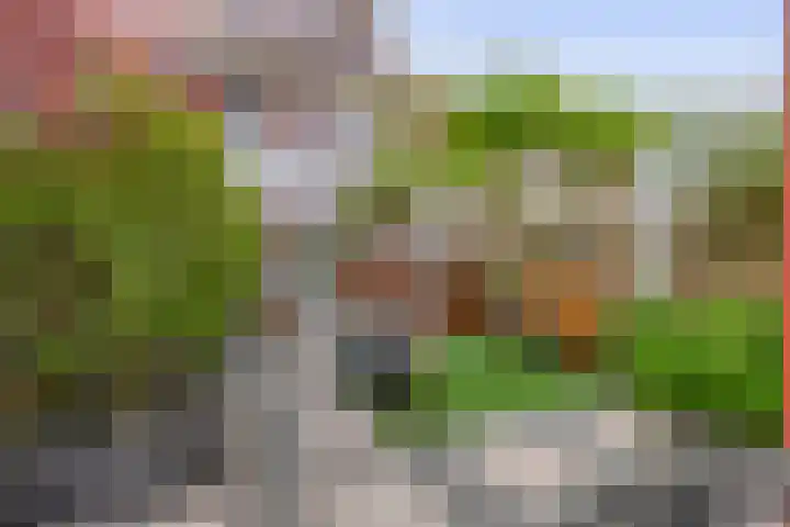 John Sousarode 29 Zoetermeer thumbnail 26