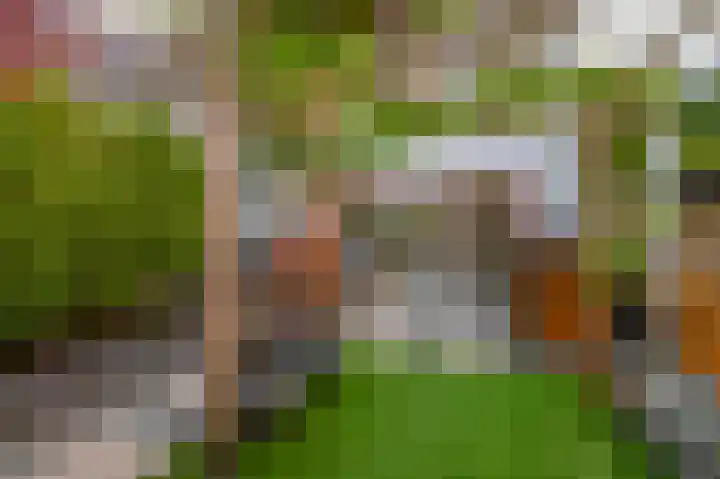 John Sousarode 29 Zoetermeer thumbnail 27