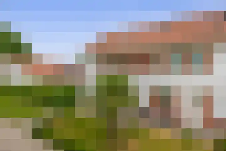 John Sousarode 29 Zoetermeer thumbnail 31