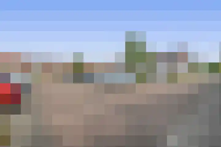 John Sousarode 29 Zoetermeer thumbnail 32