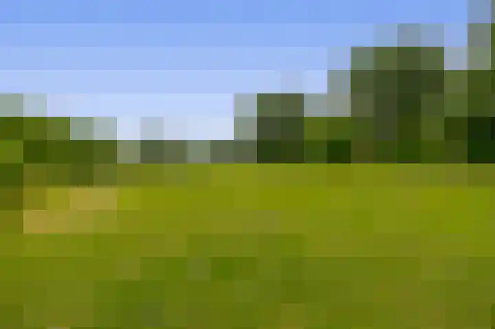 John Sousarode 29 Zoetermeer thumbnail 33