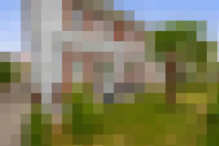 John Sousarode 29 Zoetermeer thumbnail 4