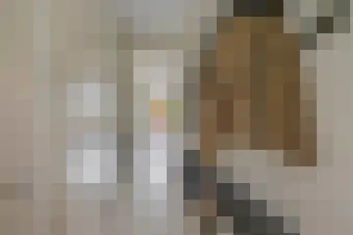 John Sousarode 29 Zoetermeer thumbnail 6