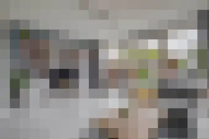 John Sousarode 29 Zoetermeer thumbnail 7