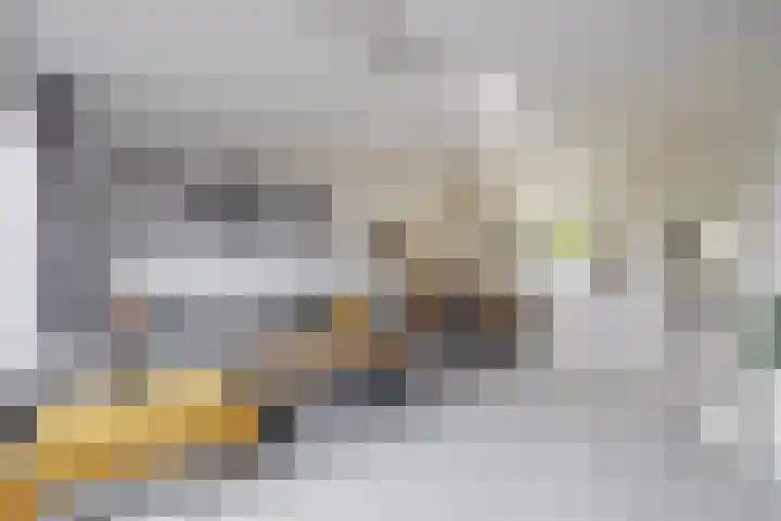 John Sousarode 29 Zoetermeer thumbnail 8