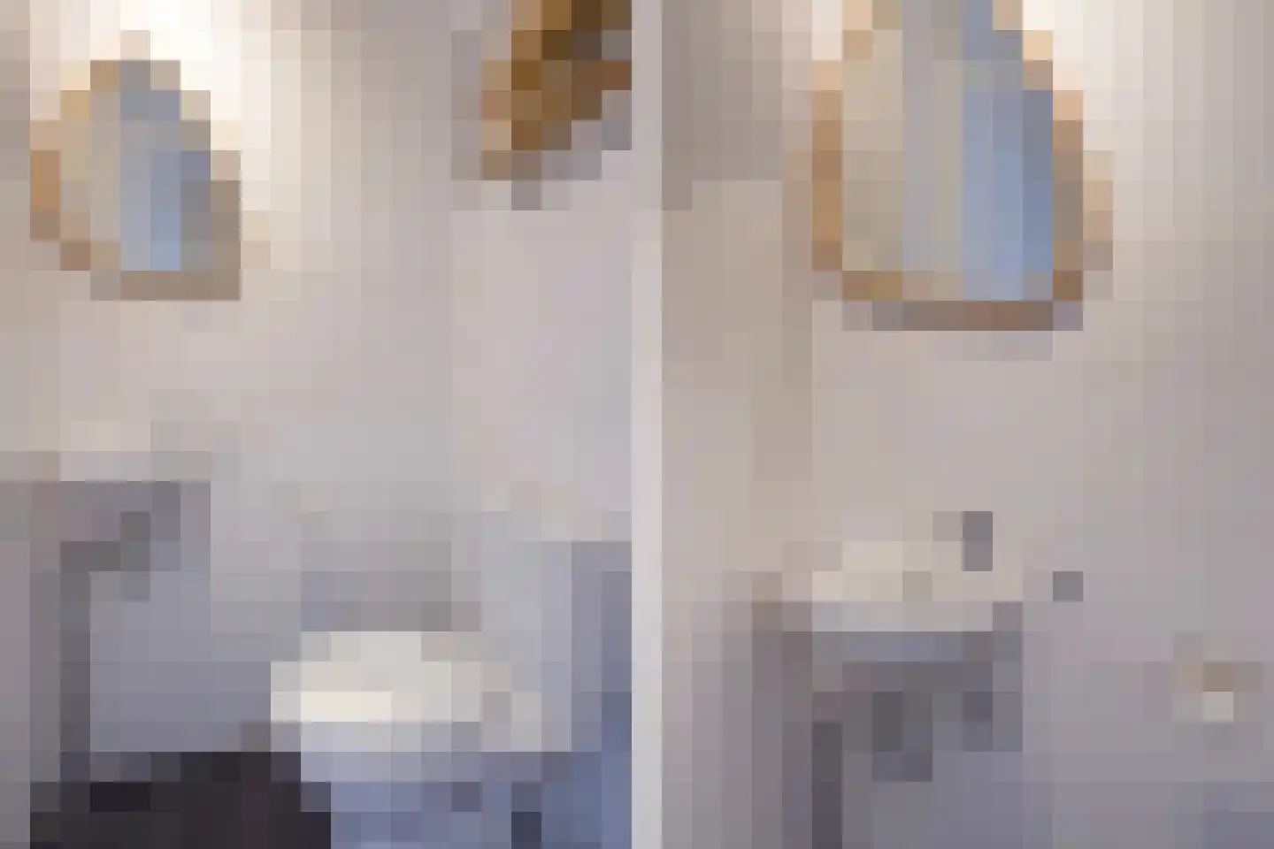 John Sousarode 5 Zoetermeer thumbnail 19