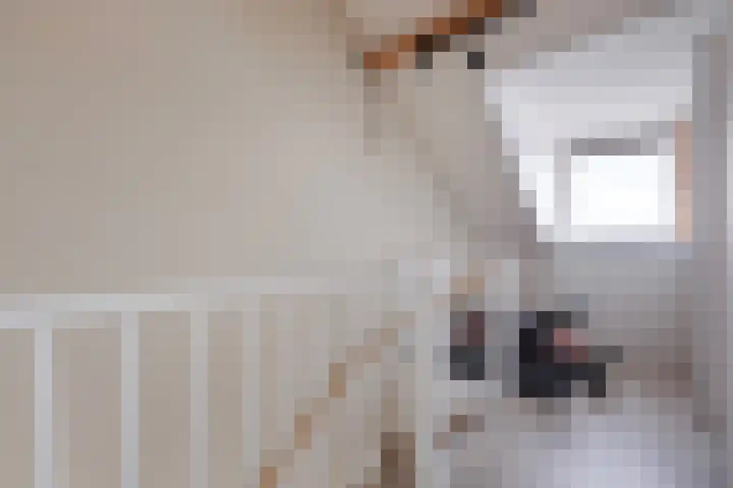 John Sousarode 5 Zoetermeer thumbnail 34
